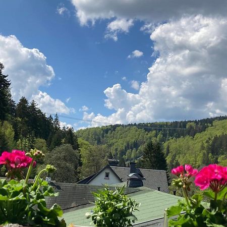 Ferienwohnung Stremme Willingen  Zewnętrze zdjęcie