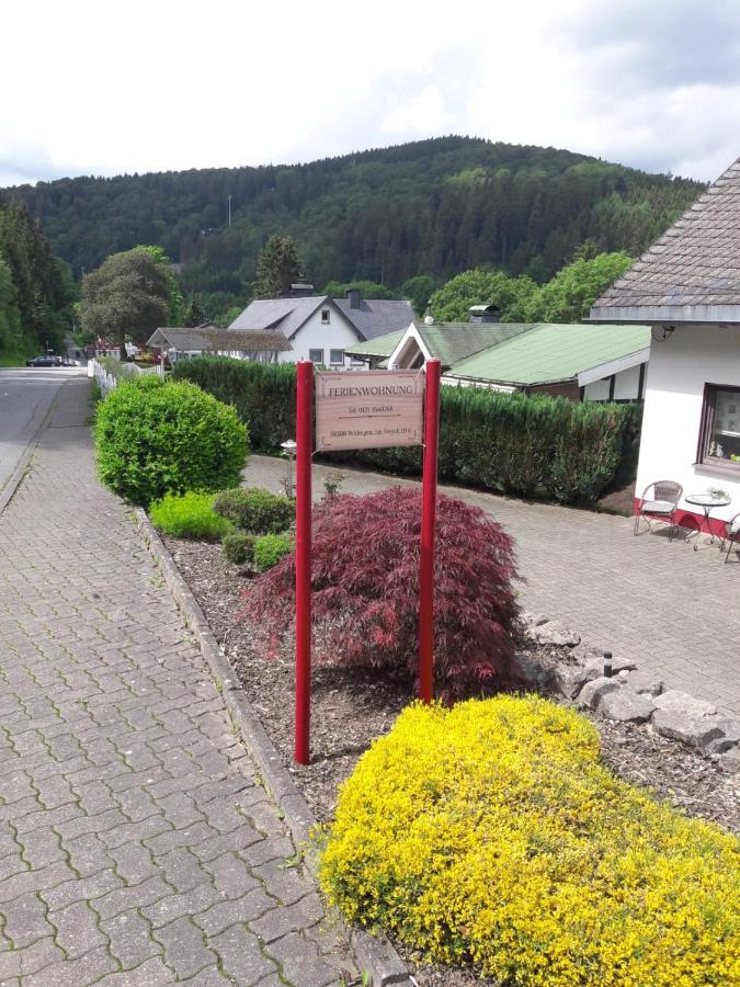 Ferienwohnung Stremme Willingen  Zewnętrze zdjęcie