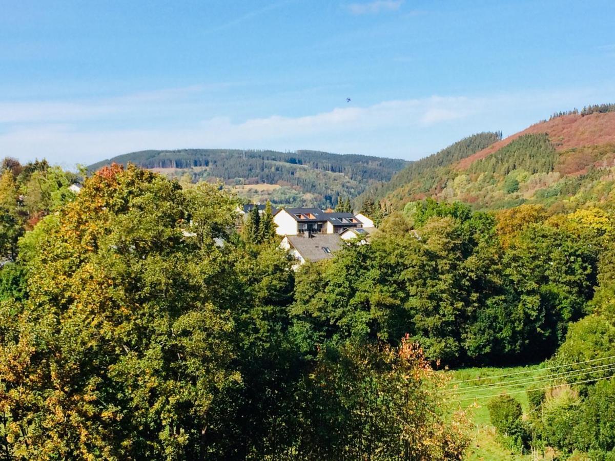 Ferienwohnung Stremme Willingen  Zewnętrze zdjęcie